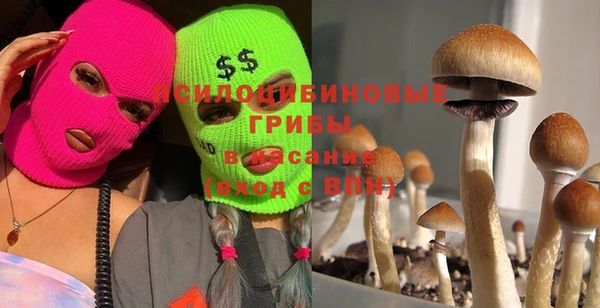 экстази Алексин